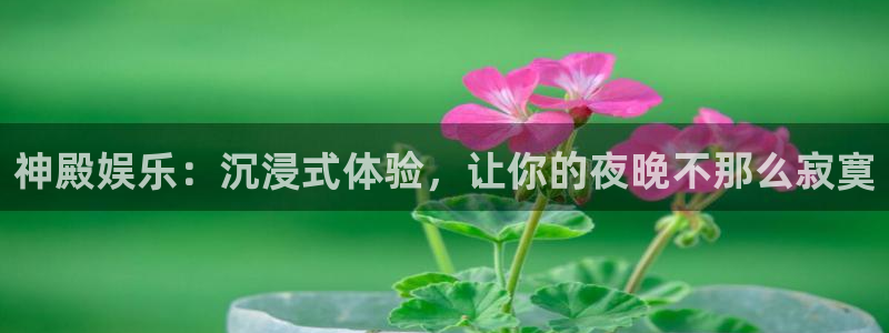 upload/20250701114914.jpg